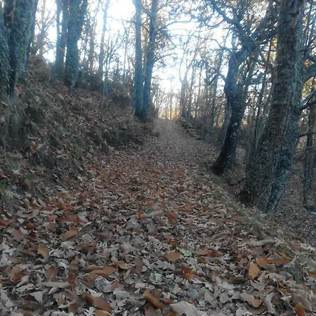 Rural Valle Agadon (adults Only)
